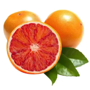 Tarocco blood orange