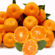 Tangerines